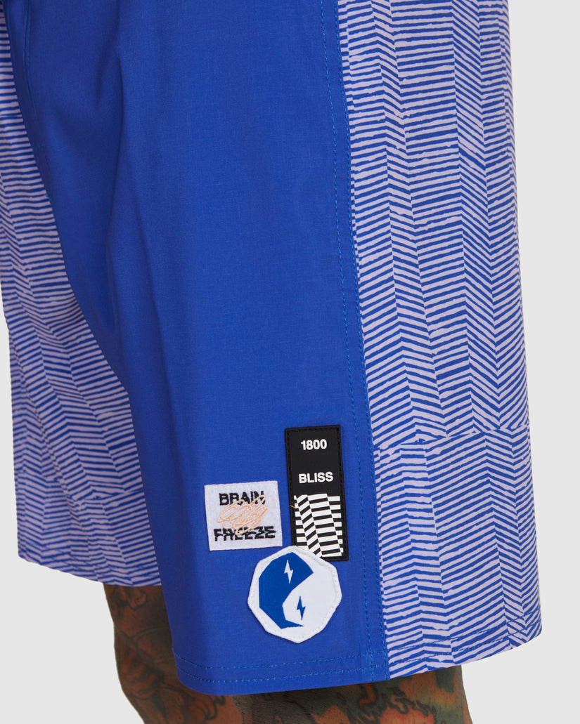 Mens Brain Freeze Boardshorts